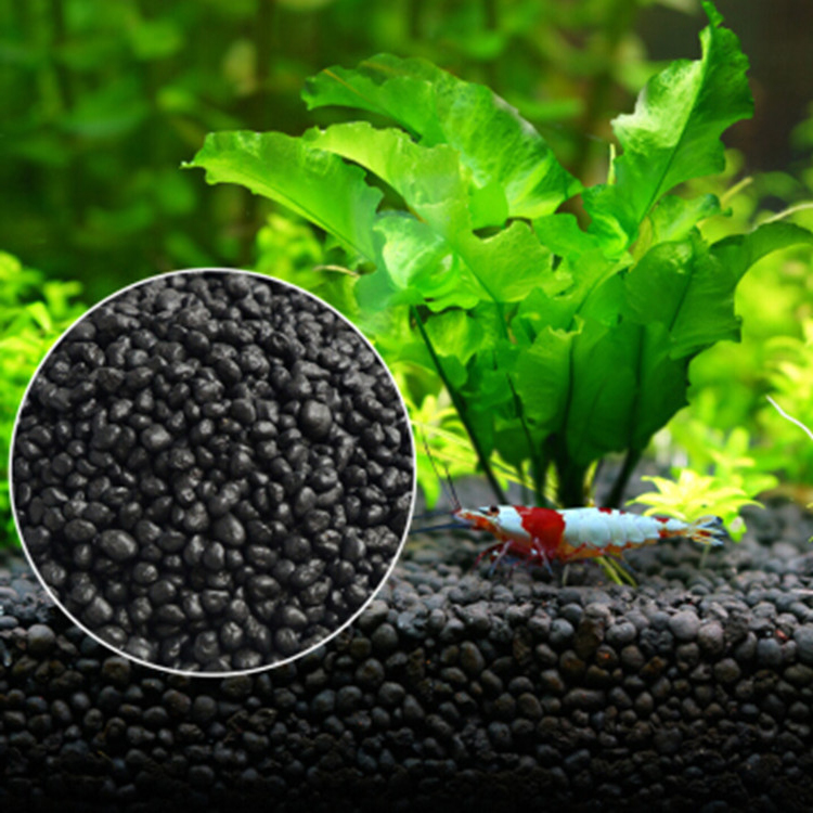 Aquarium Marine Plants - نباتات أحواض السمك ، التربة ،