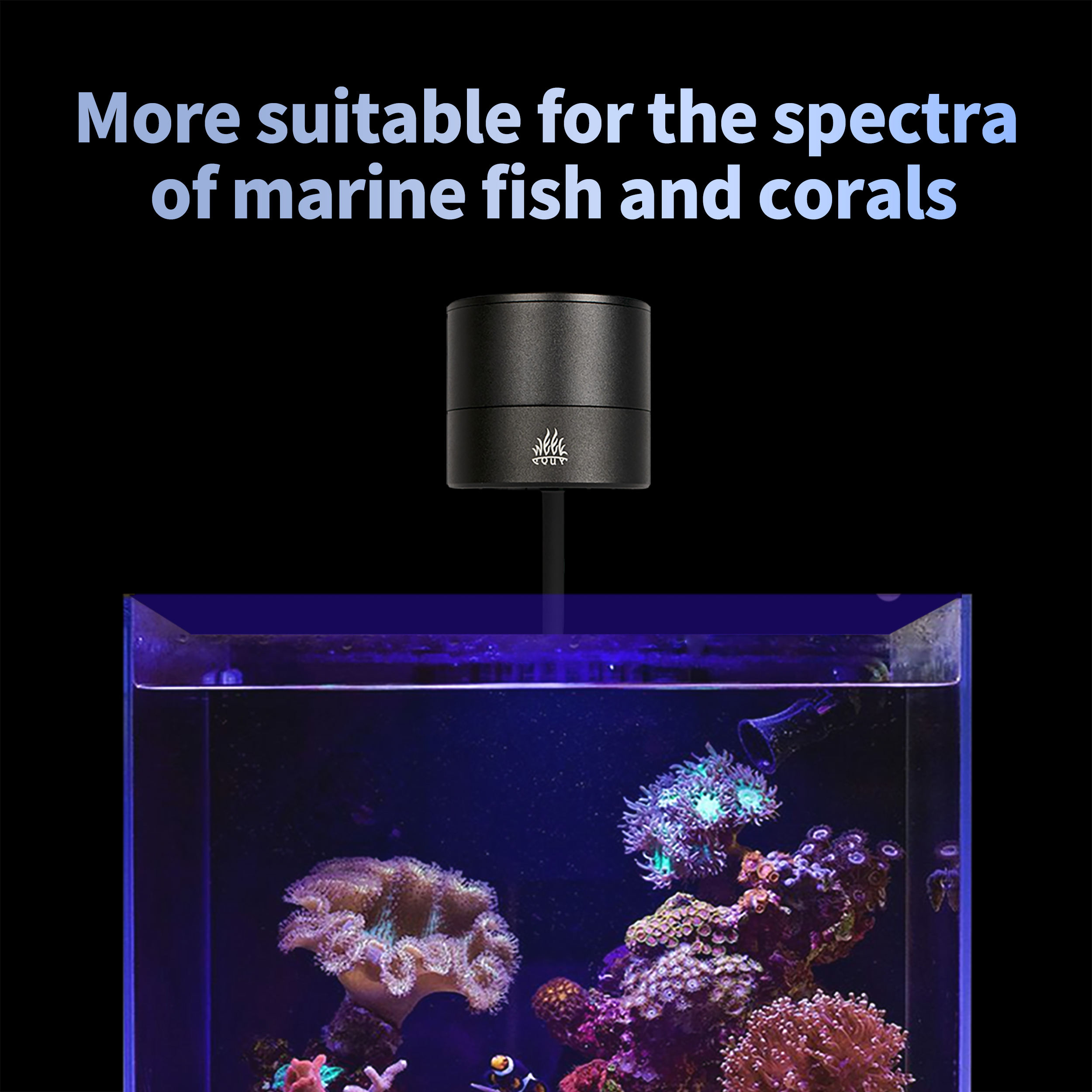 مصباح LED بحري T95 Sea بقوة 50 - مراجعة Marine Aquarium Timing وسعره
