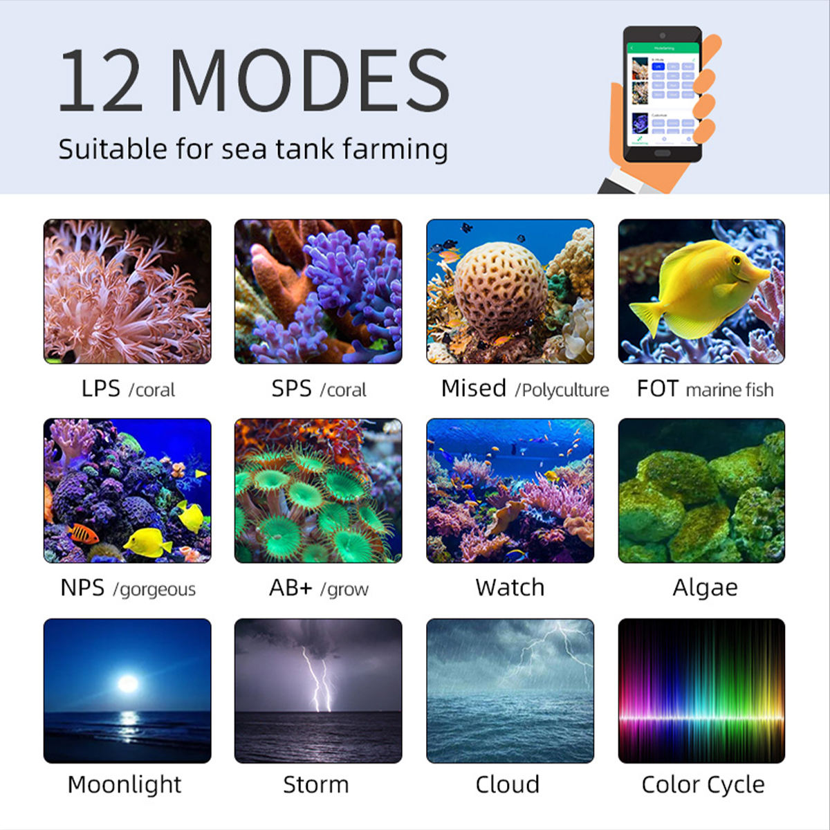 مصباح LED بحري T95 Sea بقوة 50 - مراجعة Marine Aquarium Timing وسعره