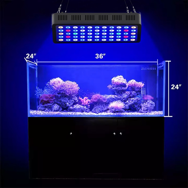 إضاءة حوض السمك 165 واط مع خاص - مراجعة Marine Aquarium Timing وسعره
