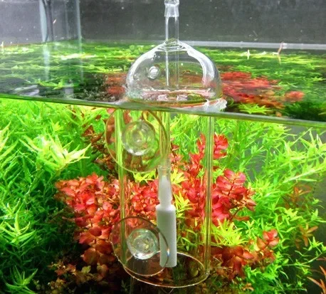 VIV Do جهاز حوض السمك اسطوانة  - مراجعة Aquarium Marine Plants وسعره