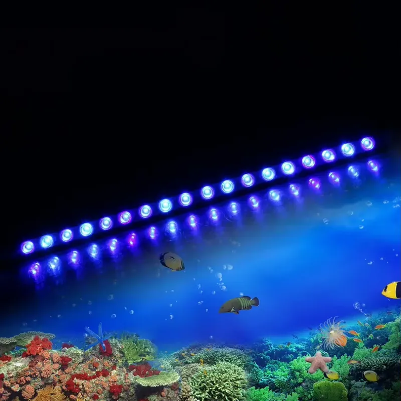 إضاءة LED قابلة للتعتيم مع مؤق - مراجعة Marine Aquarium Timing وسعره