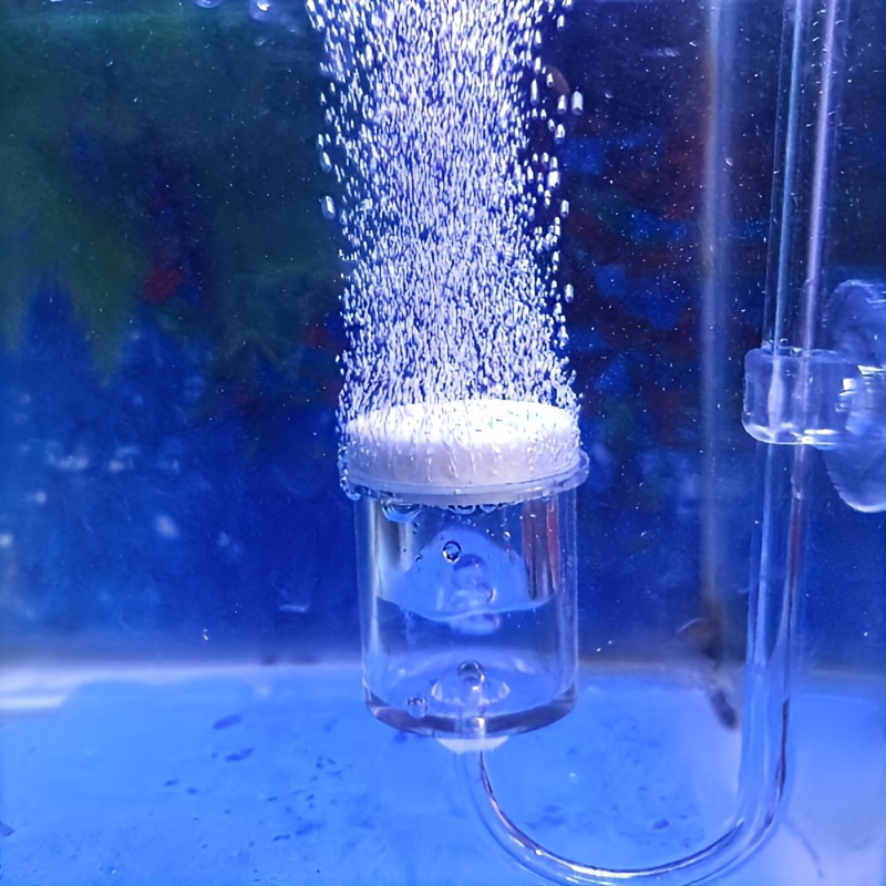 حوض السمك الزجاج CO2 البخاخة ا - مراجعة Aquarium Marine Plants وسعره
