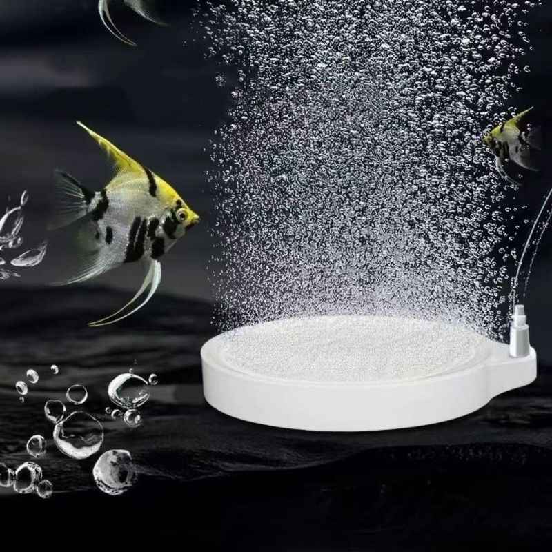قرص نانو هوائي لتوزيع الأكسجين - مراجعة Marine Aquarium Nano وسعره