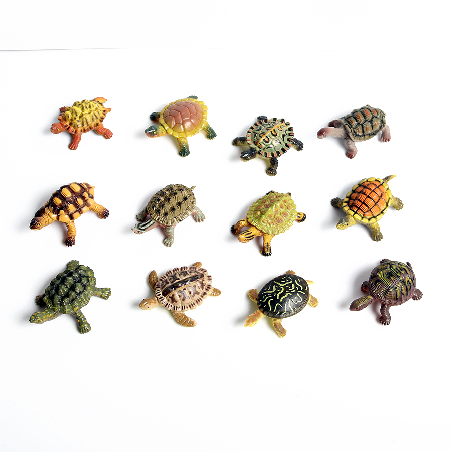 نموذج سلحفاة بحرية للحياة البح - مراجعة Marine Aquarium Mini وسعره